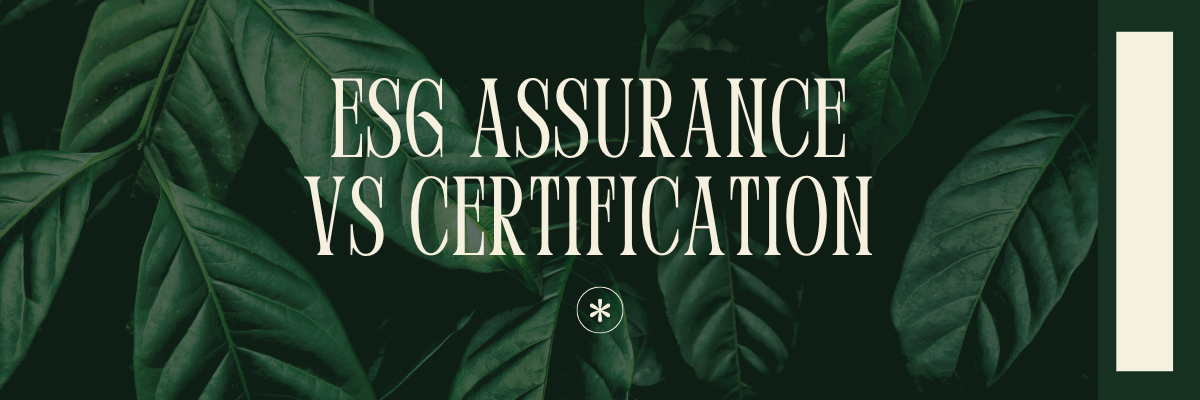 ESG Assurance vs Certification